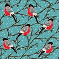 Vector seamless pattern with bullfinch bird