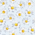 Vector seamless pattern with camomile. Beautiful flowers in pastel colors