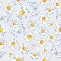 Vector seamless pattern with camomile and butterfly Royalty Free Stock Photo
