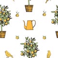 Vector seamless pattern with canaries and citrus plant.
