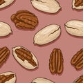 Vector Seamless Pattern of Cartoon Pecan Nuts Royalty Free Stock Photo