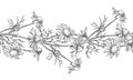 Vector seamless pattern with chamomile flowers in engraving style. Hand drawn botanical texture with floral border