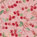 Vector seamless pattern with cherries .Pink background