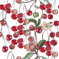 Vector seamless pattern with cherries .white background