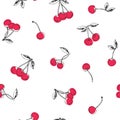 Vector seamless pattern with cherry isolated on white. Hand-drawn texture with fresh fruits