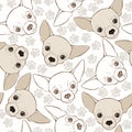 Vector seamless pattern with chihuahua-dog and traces.