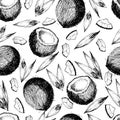 Vector seamless pattern of coconut. Hand drawn engraved art.