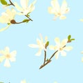 Vector seamless pattern with color hand drawn white flowers of magnolia Royalty Free Stock Photo