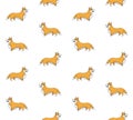 Vector seamless pattern of color sketch corgi dog Royalty Free Stock Photo