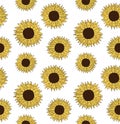 Vector seamless pattern of hand draw sun sunflower Royalty Free Stock Photo