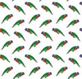 Vector seamless pattern of colored lory parrot