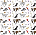 Vector seamless pattern of colored sketch pets Royalty Free Stock Photo