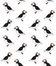 Vector seamless pattern of colored sketch puffin