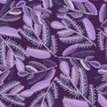 Vector seamless pattern colorful design with decorative Christmas fir tree branches in violet tones Royalty Free Stock Photo