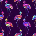 Vector seamless pattern with colorful flamingos. Texture