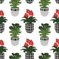 Vector seamless pattern with colorful hand-drawn flower pots. Sketch style, doodle plants. Botanic illustration Royalty Free Stock Photo