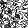 Vector seamless pattern with compositions of graphical tropical leaves, palm leaves,banana leavesand jungle plants