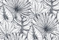 Vector seamless pattern with compositions of hand drawn tropical plants