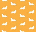 Vector seamless pattern of corgi dog silhouette Royalty Free Stock Photo