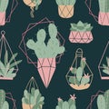 Vector seamless pattern with cozy cute cactus and succulent and glitter geometric frames. Home gardening. House plants. Botany