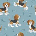 Vector seamless pattern with cute cartoon beagle baby