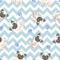 Vector seamless pattern with cute cartoon dog puppies. Can be used as a background, wallpaper, fabric and for other Royalty Free Stock Photo