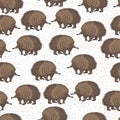 Vector seamless pattern with cute cartoon echidna and dots.