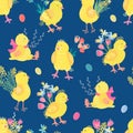 Vector seamless pattern with cute little chickens and flowers. Royalty Free Stock Photo