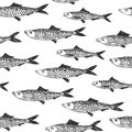 Vector seamless pattern with cute fishes in doodle style isolated on white. Hand drawn black and white texture. Underwater world Royalty Free Stock Photo
