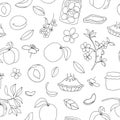 Vector seamless pattern of cute hand-drawn apricots, pie, flowers, jam jar. Black and white repeat background. Home made food Royalty Free Stock Photo