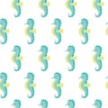 Vector seamless pattern with cute sea horse on white background Royalty Free Stock Photo