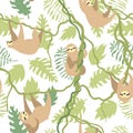 Vector seamless pattern with cute sloth