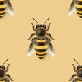 Vector Seamless Pattern with 3d Realistic Detailed Honey Bee Icon Closeup on Yellow Background. Queen Honeybee Design Royalty Free Stock Photo