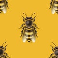 Vector Seamless Pattern with 3d Realistic Detailed Honey Bee Icon Closeup on Yellow Background. Queen Honeybee Design Royalty Free Stock Photo