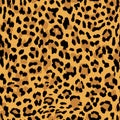 Vector seamless pattern. Leopard skin texture Royalty Free Stock Photo