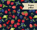 Vector seamless pattern with different berries. strawberry, raspberry, cherry, redcurrant, blueberry, blackberry.