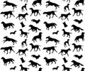 Vector seamless pattern of dog breed silhouette Royalty Free Stock Photo