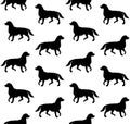 Vector seamless pattern of dog silhouette Royalty Free Stock Photo