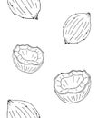 Vector seamless pattern of doodle sketch coconut