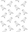 Vector seamless pattern of doodle sketch puffin