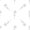 Vector seamless pattern with drawing knapweed cornflowers, floral composition, hand drawn botanical illustration Royalty Free Stock Photo