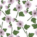 vector seamless pattern with drawing Marsh-mallow Royalty Free Stock Photo