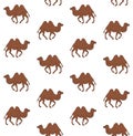 Vector seamless pattern of drawn bactrian camel Royalty Free Stock Photo