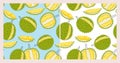 Vector seamless pattern of durian fruit. Tropical fruit on a blue and white background. Bright green exotic fruits.