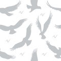 Vector seamless pattern with eagles. Grey and white seamless background with eagles.