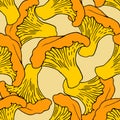 Vector seamless pattern of edible chanterelle mushrooms in orange color with a black outline superimposed on each other on a