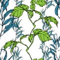 Vector seamless pattern with eucaliptus and hedera leaves