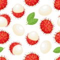 Vector seamless pattern of exotic fruit rambutan on white. Royalty Free Stock Photo