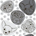 Vector seamless pattern with faces dogs and traces. Monochrome b