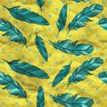 Vector seamless pattern with feathers